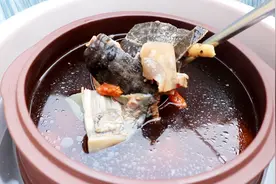 王八这样炖汤喝，做法简单，不仅味道鲜美，还能大补身体视频封面