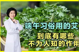 端午节常挂的艾草，到底有哪些功效？这些妙用你可能想象不到！视频封面
