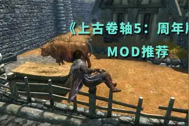 《上古卷轴5：周年版》新MOD推荐与常用MOD更新说明视频封面