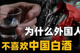 都是烈酒，为何伏特加在西方更受欢迎？西方人觉得中国白酒难喝视频封面
