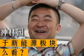股神林园对于新能源板块怎么看？