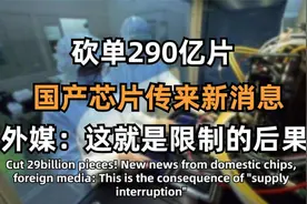 进口芯片砍单越来越多！从240亿到283亿，外媒：这次轮到美企了！视频封面
