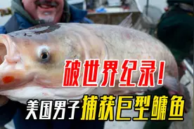 114斤的“胖头鱼”被捕获，已刷新美国记录，怎么长这么大的？视频封面
