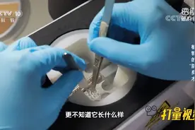 我国对于植物抗病蛋白的研究，处于怎样的阶段？|透视新科技视频封面
