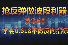 做波段抢反弹的利器，黄金分割0.618，学会了就不会当反向指标。视频封面