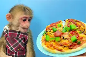 爸爸今天不在家，聪明小猴制作美味披萨，和朋友们一起分享！