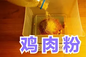 改良版鸡肉粉由14种纯天然香料组配而成，无任何添加，香味浓郁视频封面