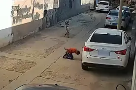 男孩骑车不慎撞上路边轿车，磕仨头表达歉意，车主：看得没脾气了视频封面