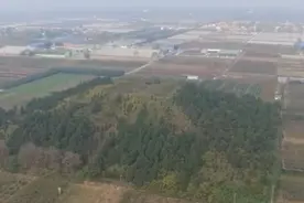 湖北挖掘出一古墓，出土失传2400年的古籍，专家改写中国史视频封面