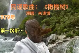 1979年，朱逢博歌曲《橄榄树》国内唱片发行，想起电唱机与红薄膜视频封面