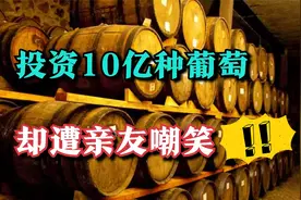 煤老板投资10亿在宁夏种葡萄，8年亏损10多个亿，如今他怎样了？视频封面