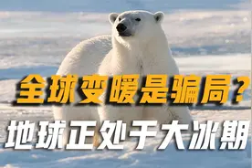 全球变暖是个骗局？地球正处于“大冰期”，气候异常已刻不容缓视频封面