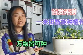 首发评测：一米田智能种植伴侣，APP远程浇水，从此吃上健康蔬菜视频封面