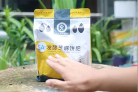 养花用什么有机肥？园艺师教你，用有机芝麻饼肥，花卉蔬菜都通用视频封面