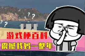 游戏梗百科之震撼我妈一整年！视频封面