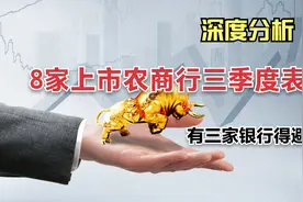 深度分析8家上市农商行，投资者应避开谁？数据表明有三家需避开视频封面