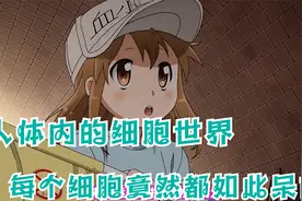 人体内的细胞世界，当细菌入侵时，细胞们如何防御视频封面