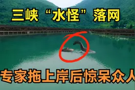 重大反转！三峡大坝“水怪”终于落网，专家一看：这东西你家也有视频封面