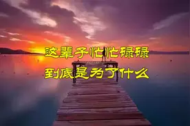 这辈子忙忙碌碌到底是为了什么，也许这个视频可以给你答案