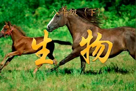 学习分享 初二【生物（下册）】  4.1 传染病与预防视频封面