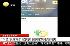 “闲鱼”上买单反相机，卖家却把钱退了回来，结果女子被骗1万元
