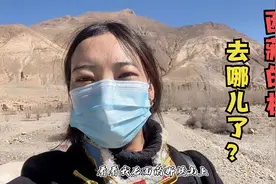 西藏山上光秃秃的没有树，是因为当地人砍伐吗？藏族姑娘解释原因视频封面