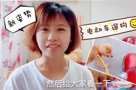 第一次尝试电动车遛狗狗，真是好轻松，狗狗三天又学会了新动作！