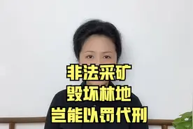非法采矿，毁坏林地，岂能以罚代刑？视频封面