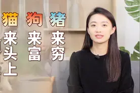 “猪来穷，狗来富，猫来头上顶白布”，动物进家啥说法？靠谱不？视频封面