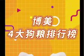 博美犬4大狗粮排行榜，博美狗粮怎么选？视频封面
