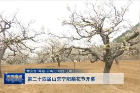 第二十四届山东宁阳梨花节开幕视频封面