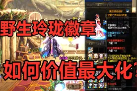 DNF：野生玲珑徽章如何使用最划算？用错地方将会面临血亏！