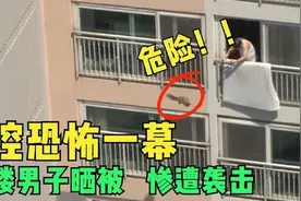 监控下拍下的真实恐怖瞬间，男子30楼晒被子，谁知遭到了恐怖袭击视频封面