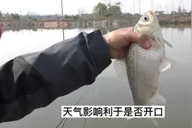 冬季钓鱼，如何找准爆护时机？可能爆护的天气，一定有这3个特征视频封面