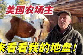 实拍美国农场主，自家养马、喂羊堪比动物园：这生活你羡慕吗？视频封面