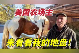 实拍美国农场主，自家养马、喂羊堪比动物园：这生活你羡慕吗？视频封面