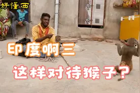 印度啊三，居然，这样对待猴子。。。视频封面