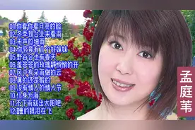 金曲回放：孟庭苇经典歌曲12首视频封面