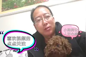 狗狗不知道吃什么东西，拉肚子全身发抖，想了一个办法给它吃点药视频封面