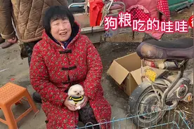 一起走进茶杯犬的真实价格一探究竟@视频封面