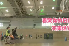 超感人日剧，轮椅上的爱情故事视频封面