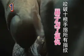 女友被辱！自己被陷害入狱！为了复仇竟然咬破十根手指所有指纹！视频封面
