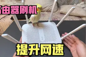 路由器用久了信号差经常掉线，不用着急换，教你如何给路由器刷机