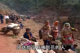 台湾媒体眼中的大陆之浙江温州乐清市、哀牢山视频封面