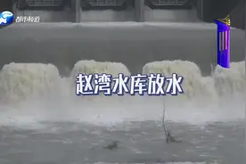 南阳：水库放水翻巨浪，村民花样逮鱼，个个都是高手！视频封面