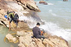 兄弟们在海边联手抽干大水池，连抓大鱼，这绝对是高手视频封面