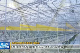 杨凌：全力打造世界知名农业科技创新城视频封面