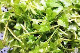 没有吃过农村这种野菜敢叫农村人？做法是...视频封面
