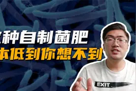 自己配制微生物菌肥，成本低到你无法想象，效果不比买的差视频封面