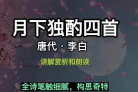 月下独酌四首 唐代 李白 月下独酌四首讲解赏析和朗读视频封面